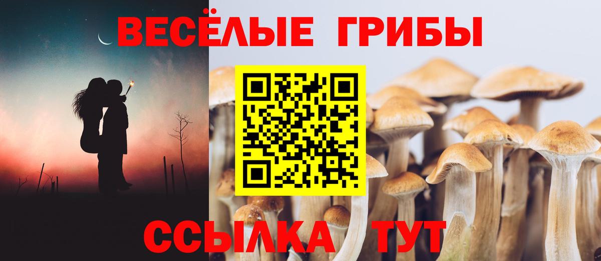 где продают   Галлюциногенные грибы ЛСД  Вход с VPN  Торжок 